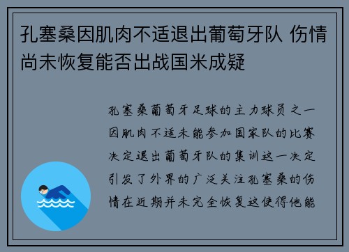 孔塞桑因肌肉不适退出葡萄牙队 伤情尚未恢复能否出战国米成疑